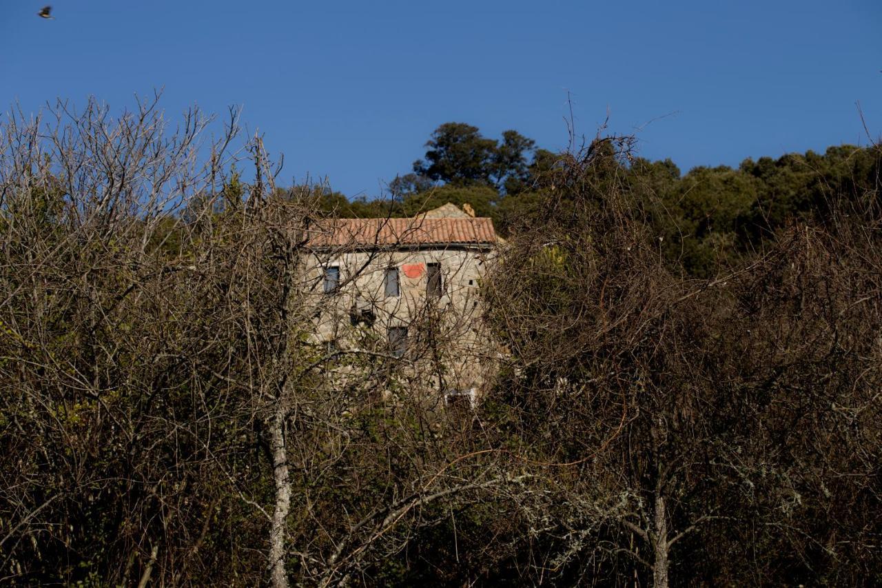 Casa Giacometti Grosseto-Prugna المظهر الخارجي الصورة