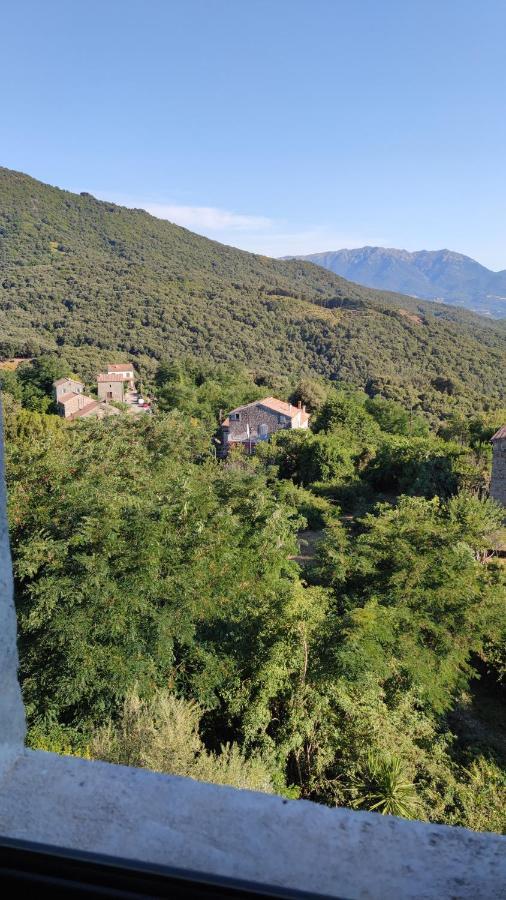 Casa Giacometti Grosseto-Prugna المظهر الخارجي الصورة